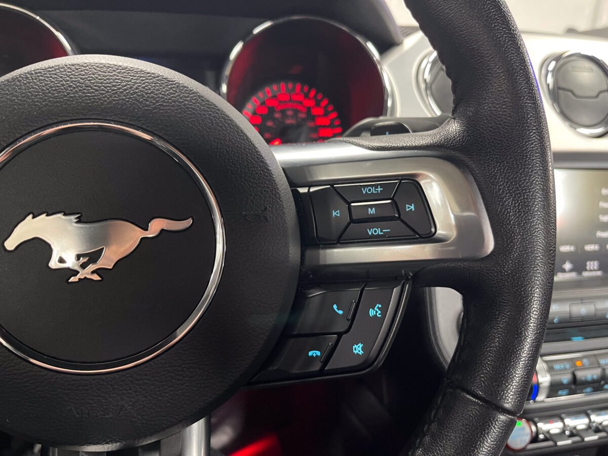 FORD Mustang 2.3 Ecoboost Performance 