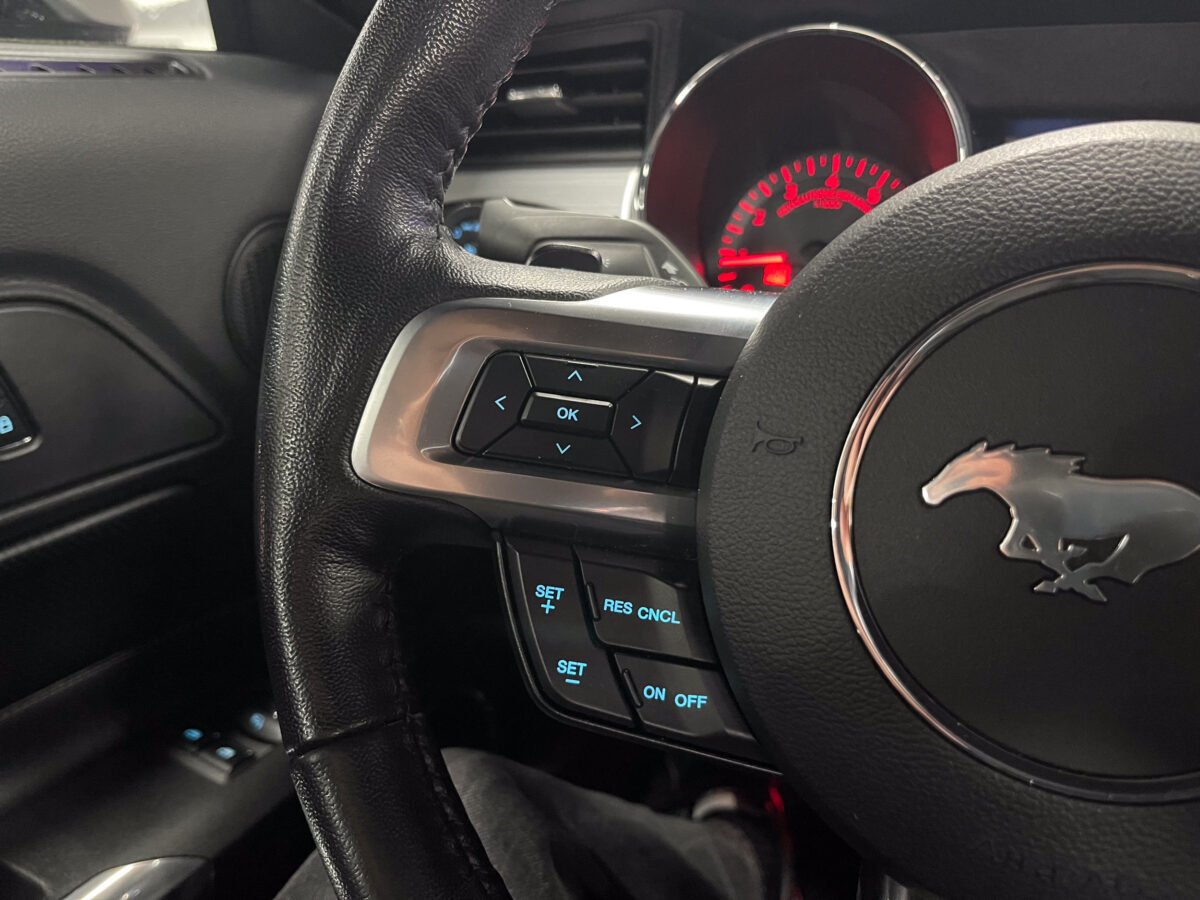 FORD Mustang 2.3 Ecoboost Performance 