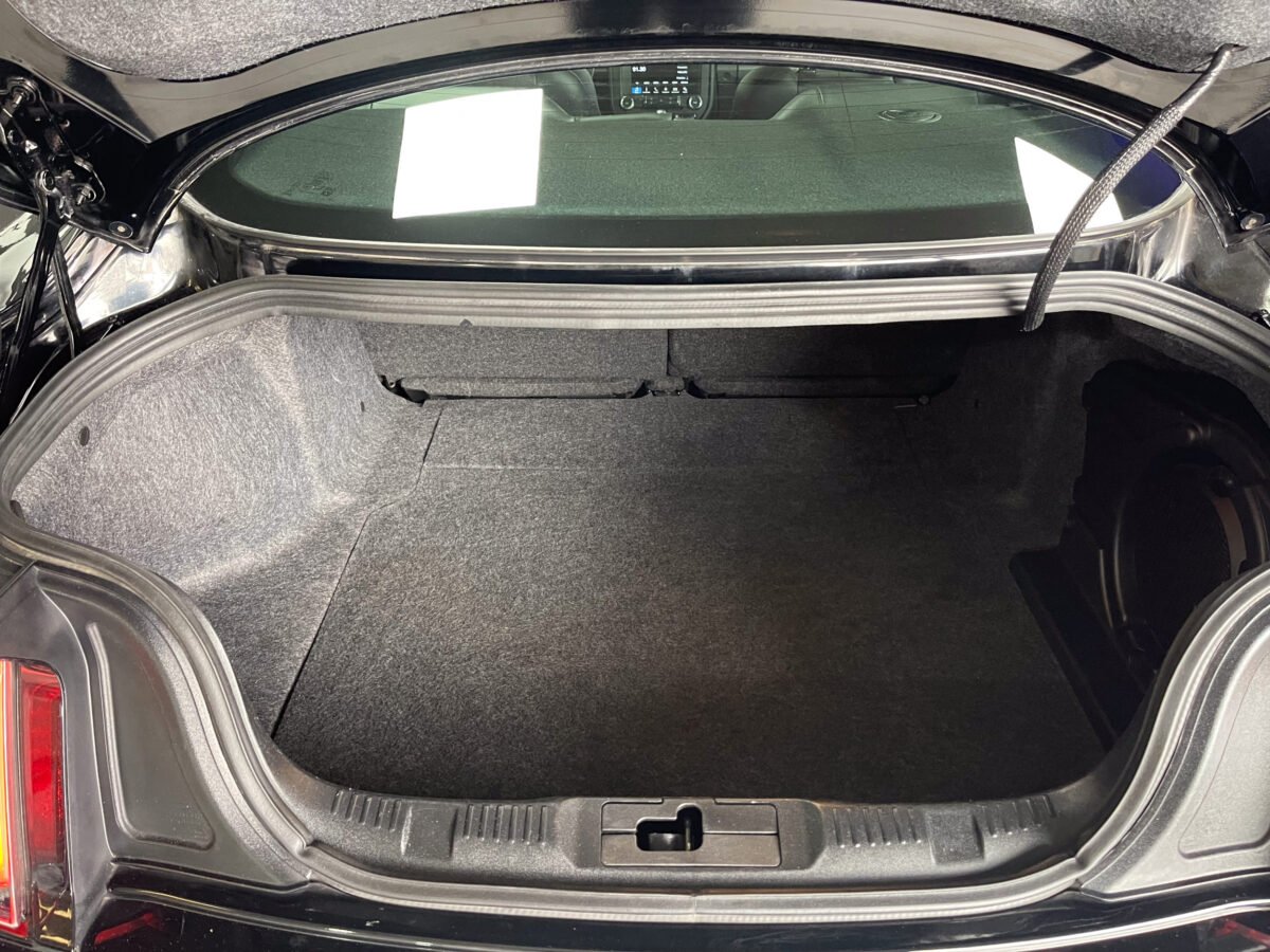 FORD Mustang 2.3 Ecoboost Performance 