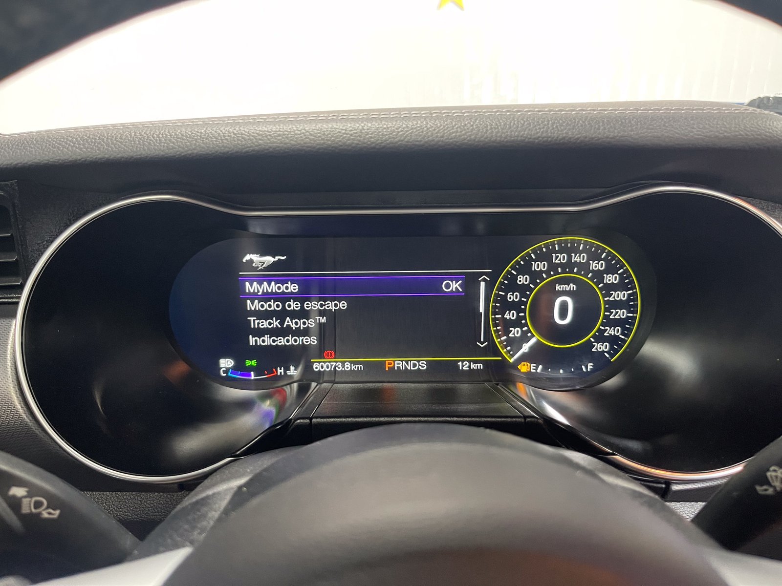FORD Mustang Ecoboost 2.3 PERFORMANCE